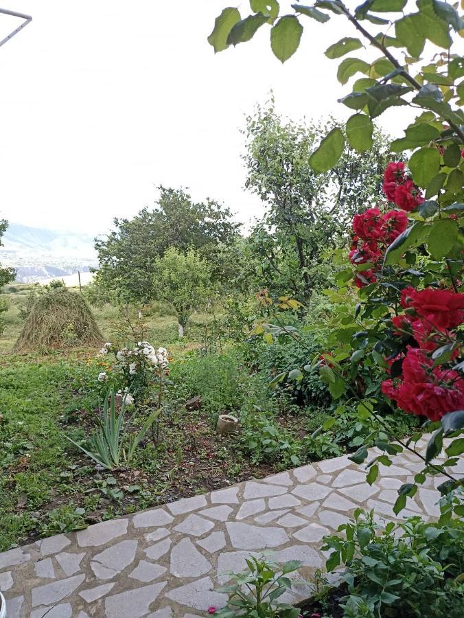 Amoj B&B And Guest House Alaverdi Eksteriør billede
