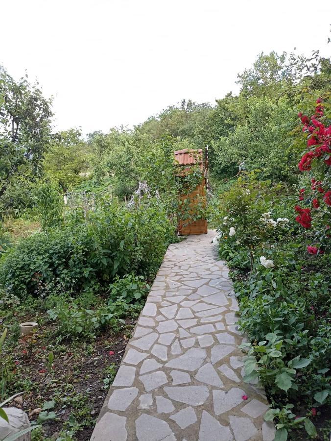 Amoj B&B And Guest House Alaverdi Eksteriør billede